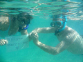   My girlfriend got engaged while snorkeling Hanauma Bay December 2010  